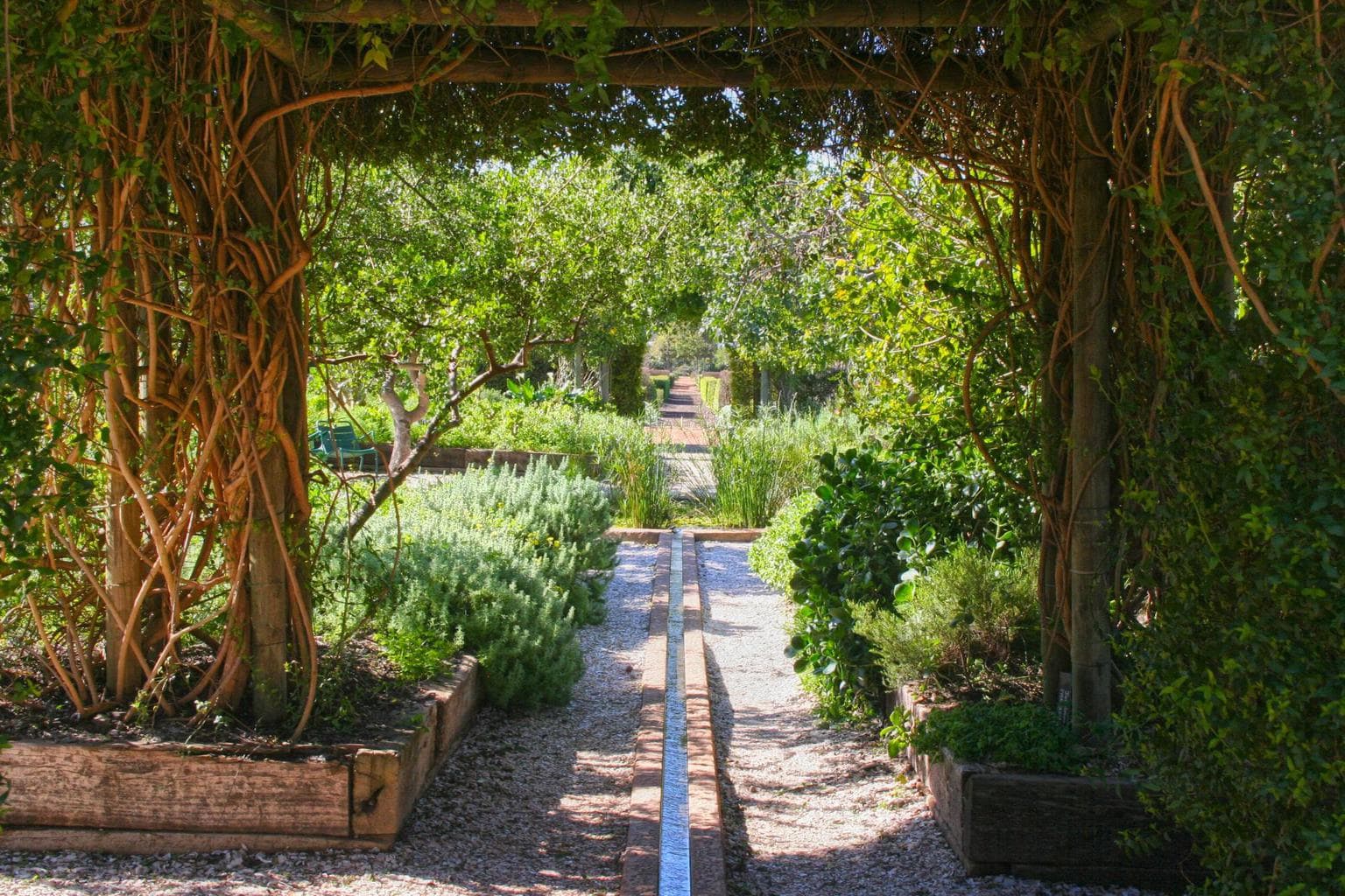 The walkways at Babylonstoren