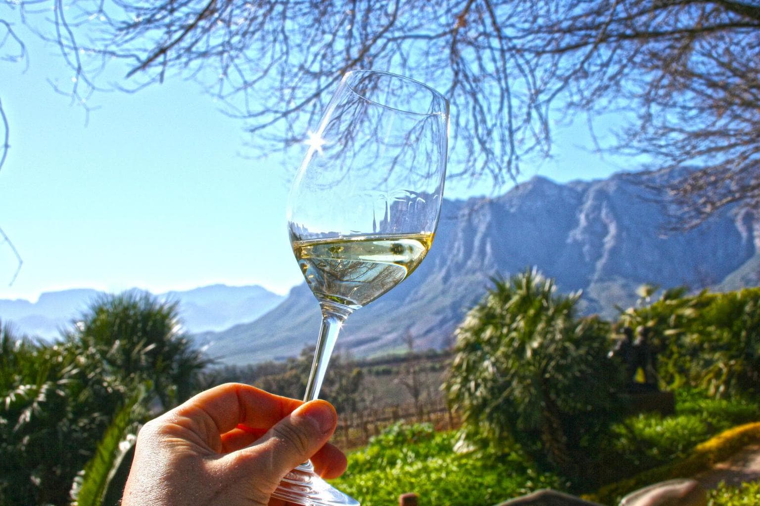 White wine tasting at Delaire Graff