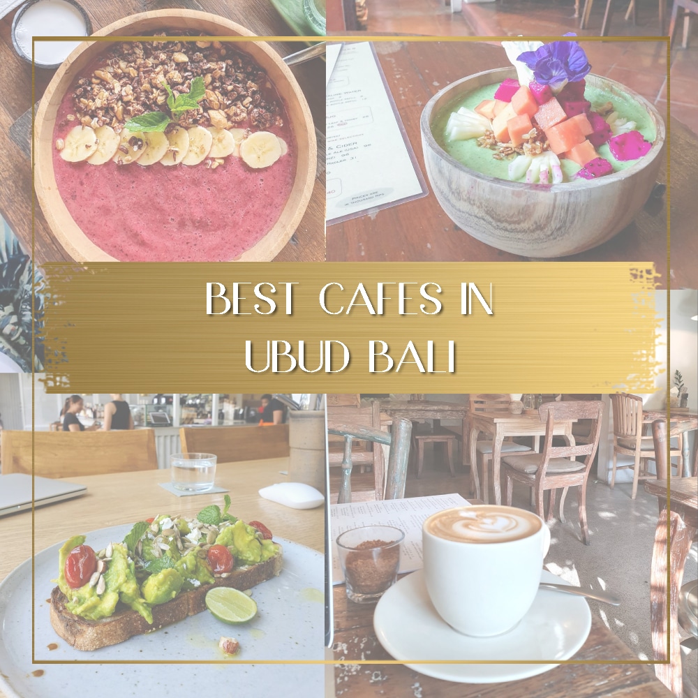 Best cafes in Ubud feature