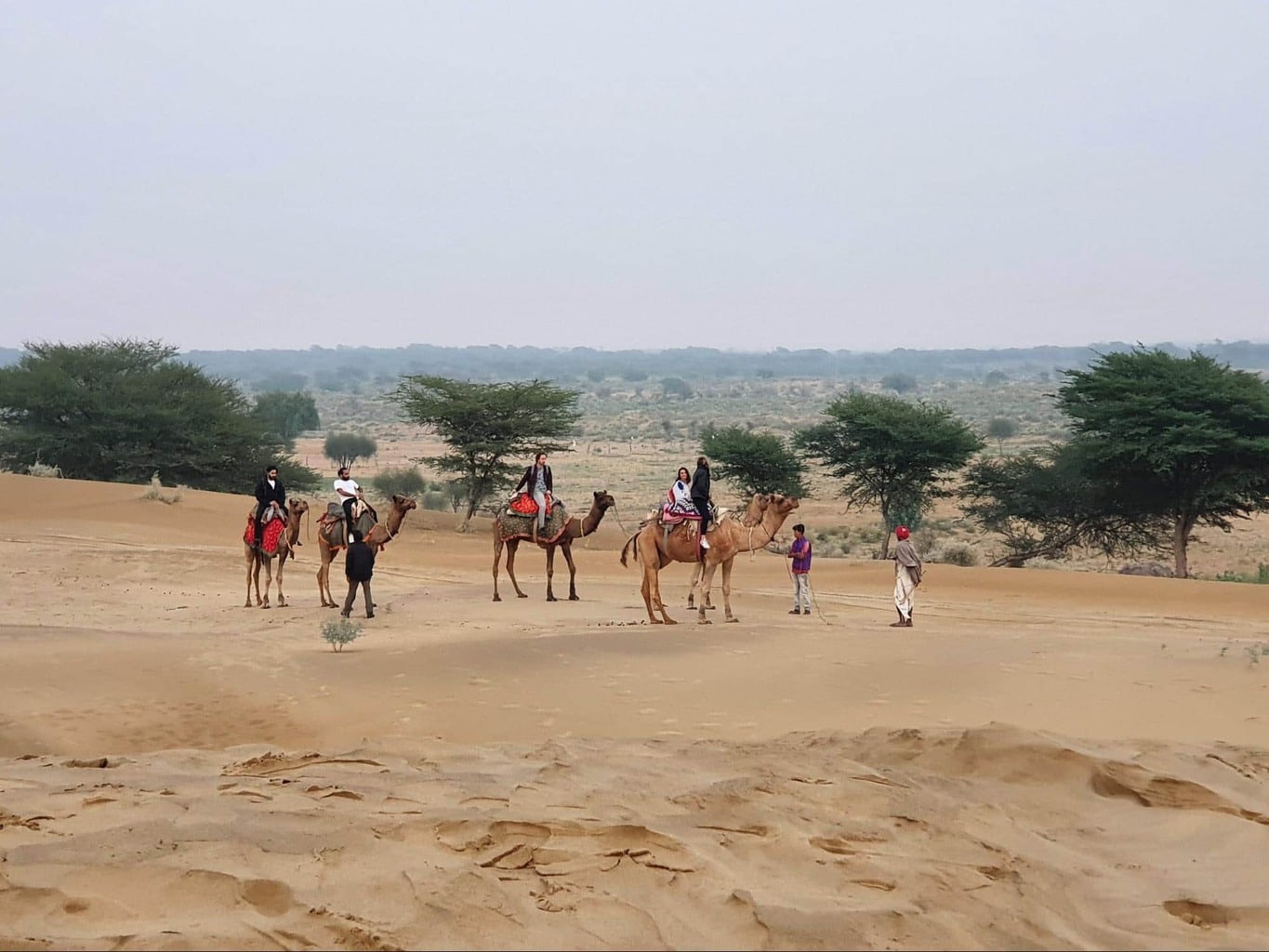 Desert safari, but don’t ride the camels