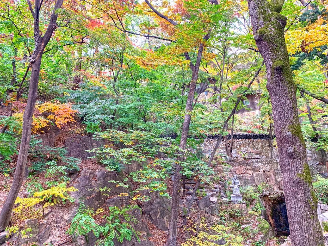 Gilsangsa Fall foliage