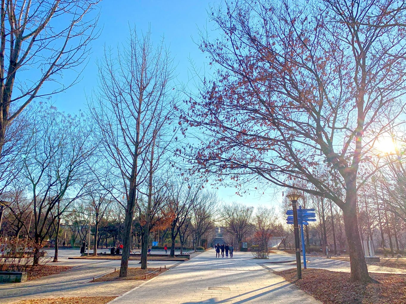 Seoul forest in winter