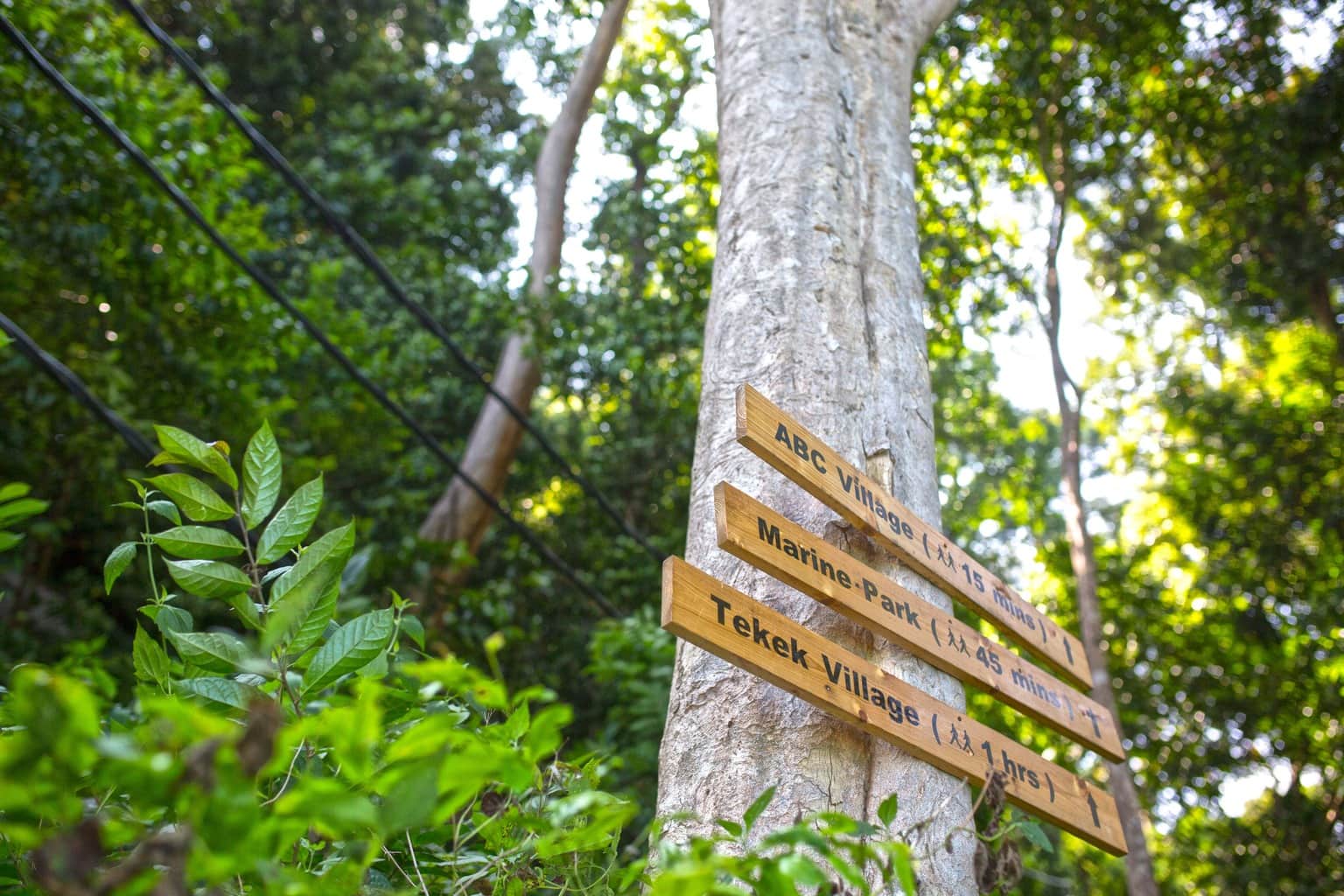 Signs at Tioman Island