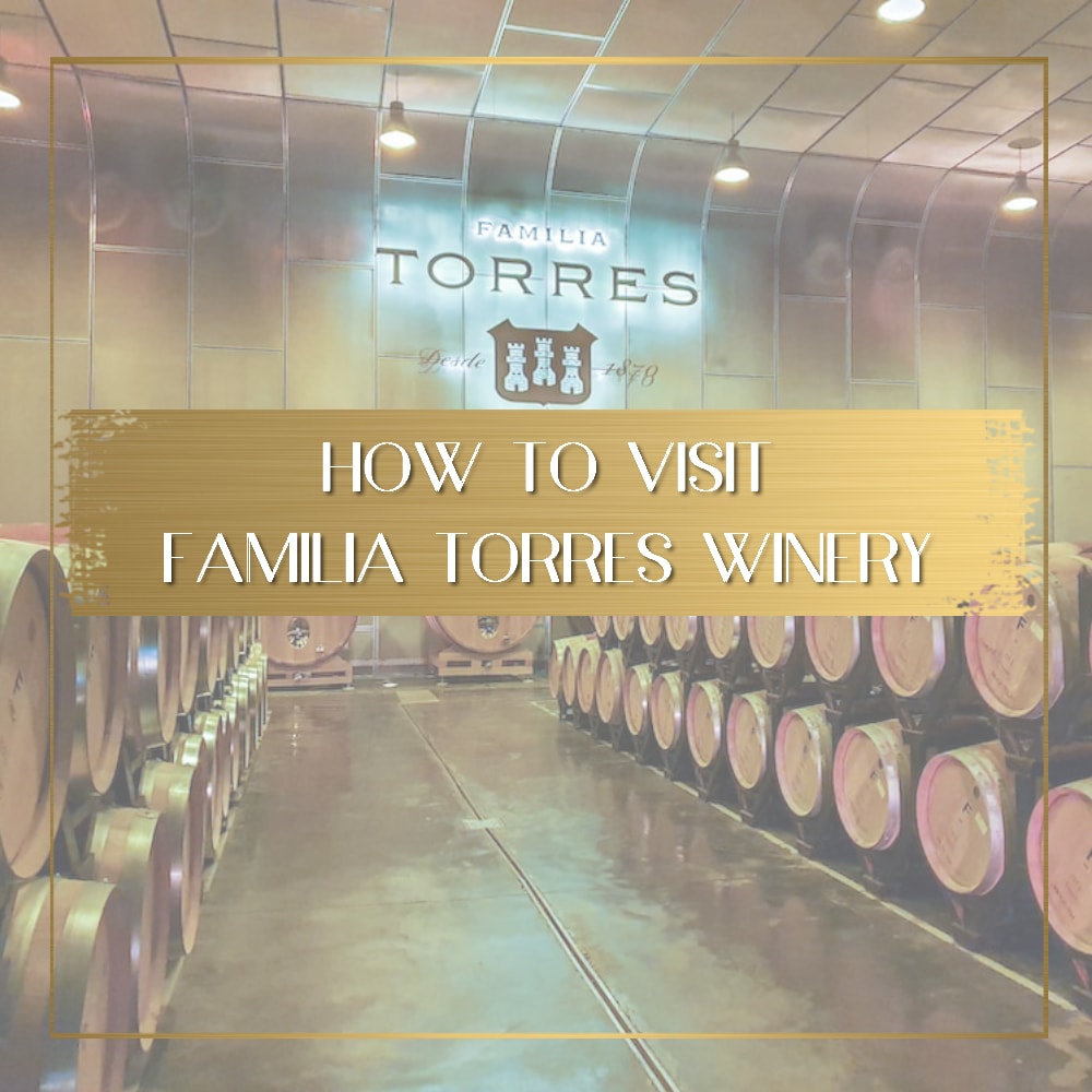 Familia Torres Winery feature