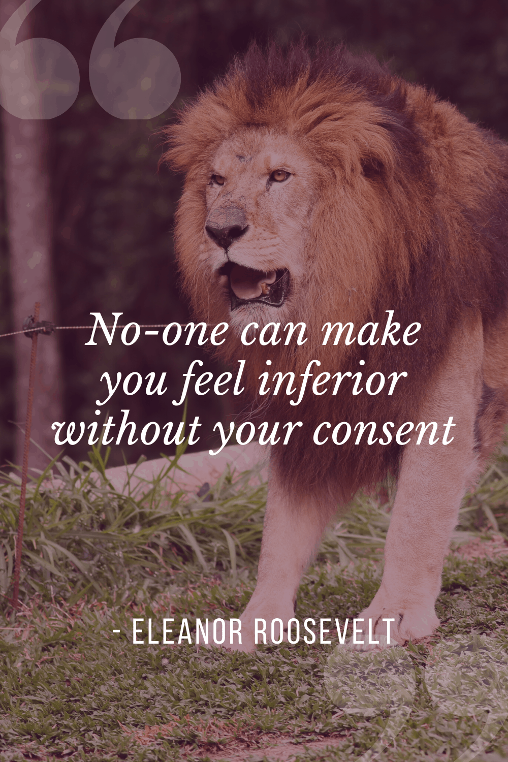 “No-one can make you feel inferior without your consent”, Eleanor Roosevelt