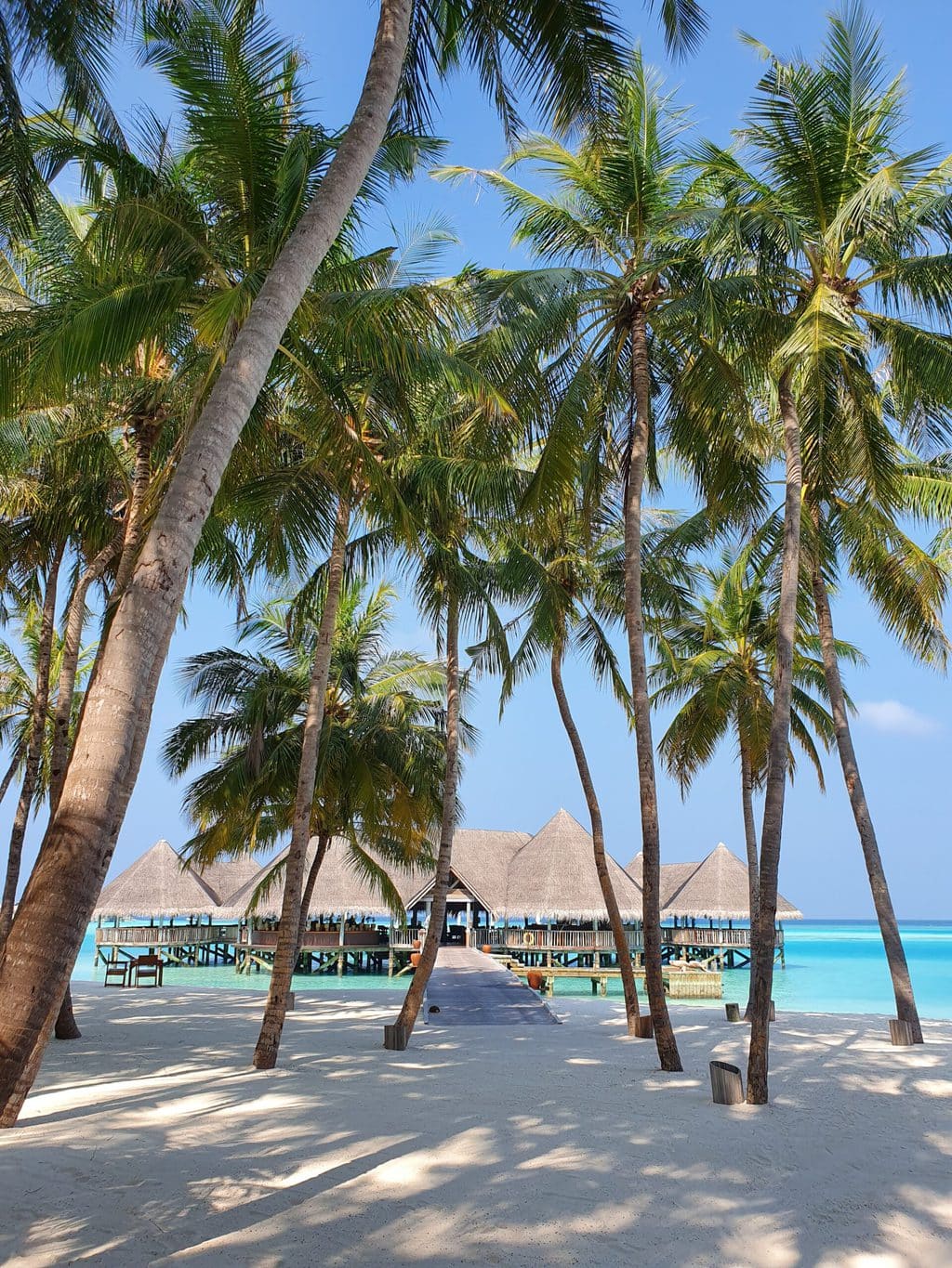 Gili Lankanfushi beach