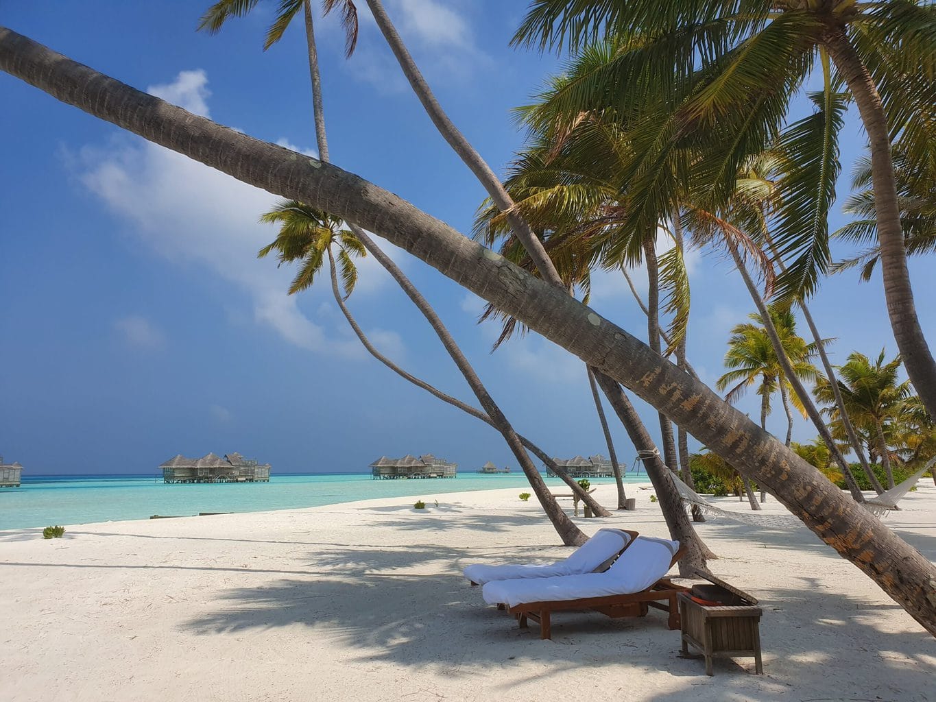 Gili Lankanfushi beach