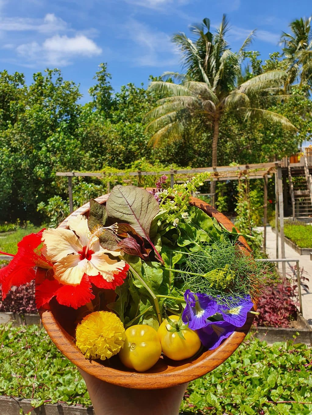 Gili Lankanfushi garden greens