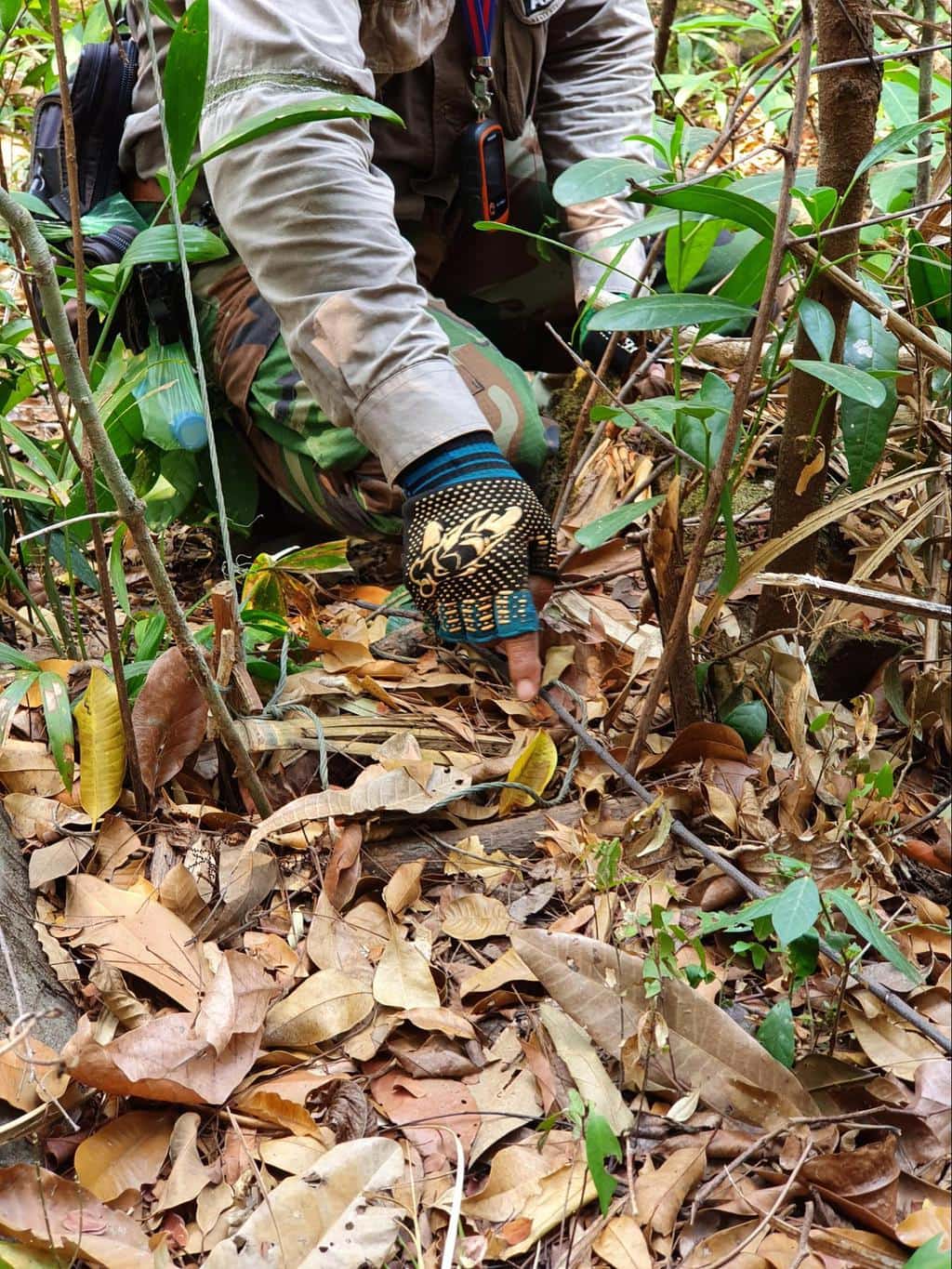 Dismantling traps with the Wildlife Alliance