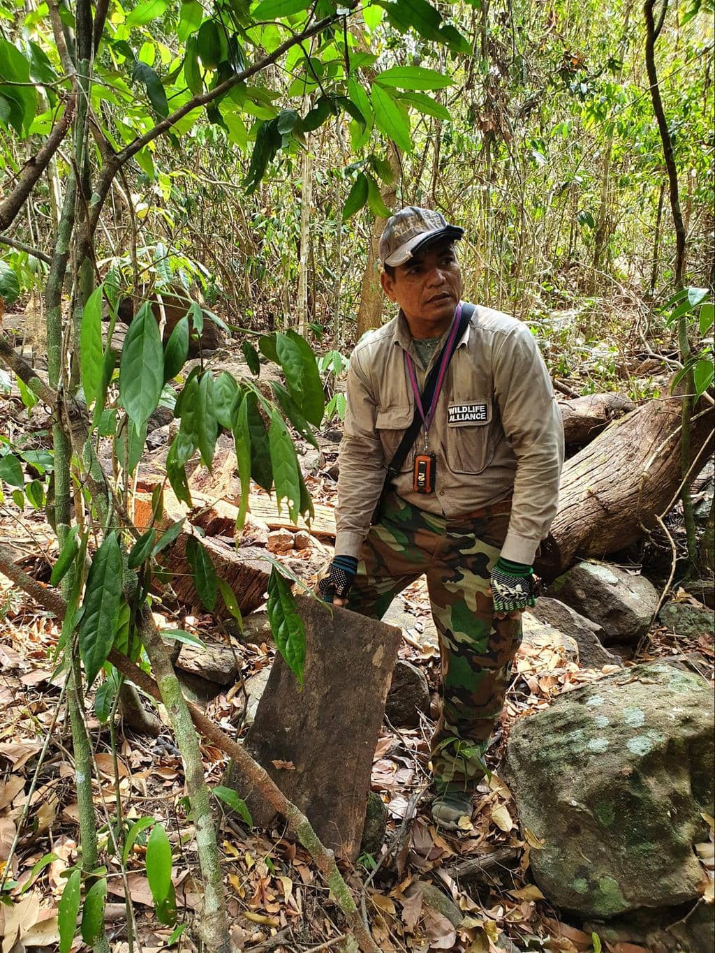 Wildlife Alliance rangers