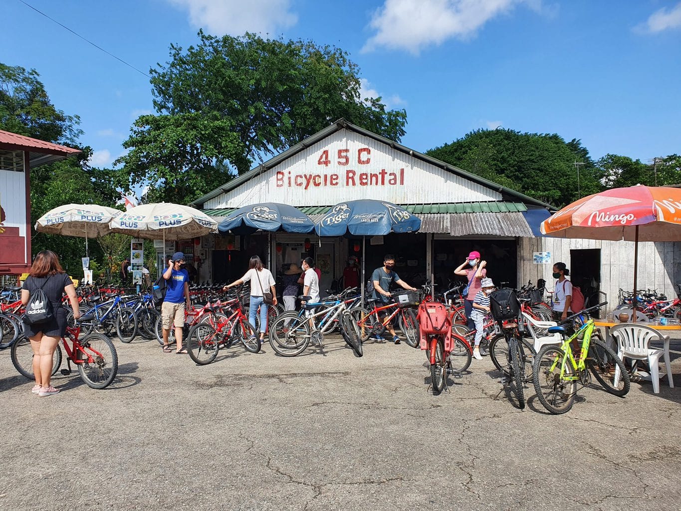 Bike rental store in Pulau Ubin