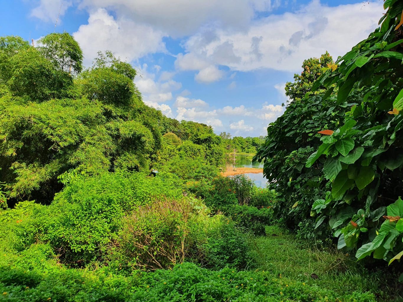 Pulau Ubin quarries