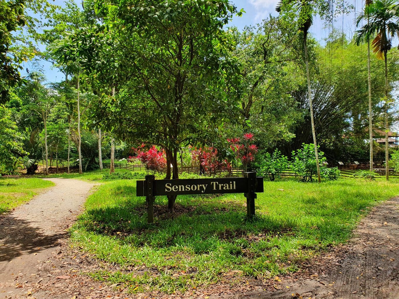 Pulau Ubin Sensory Trail