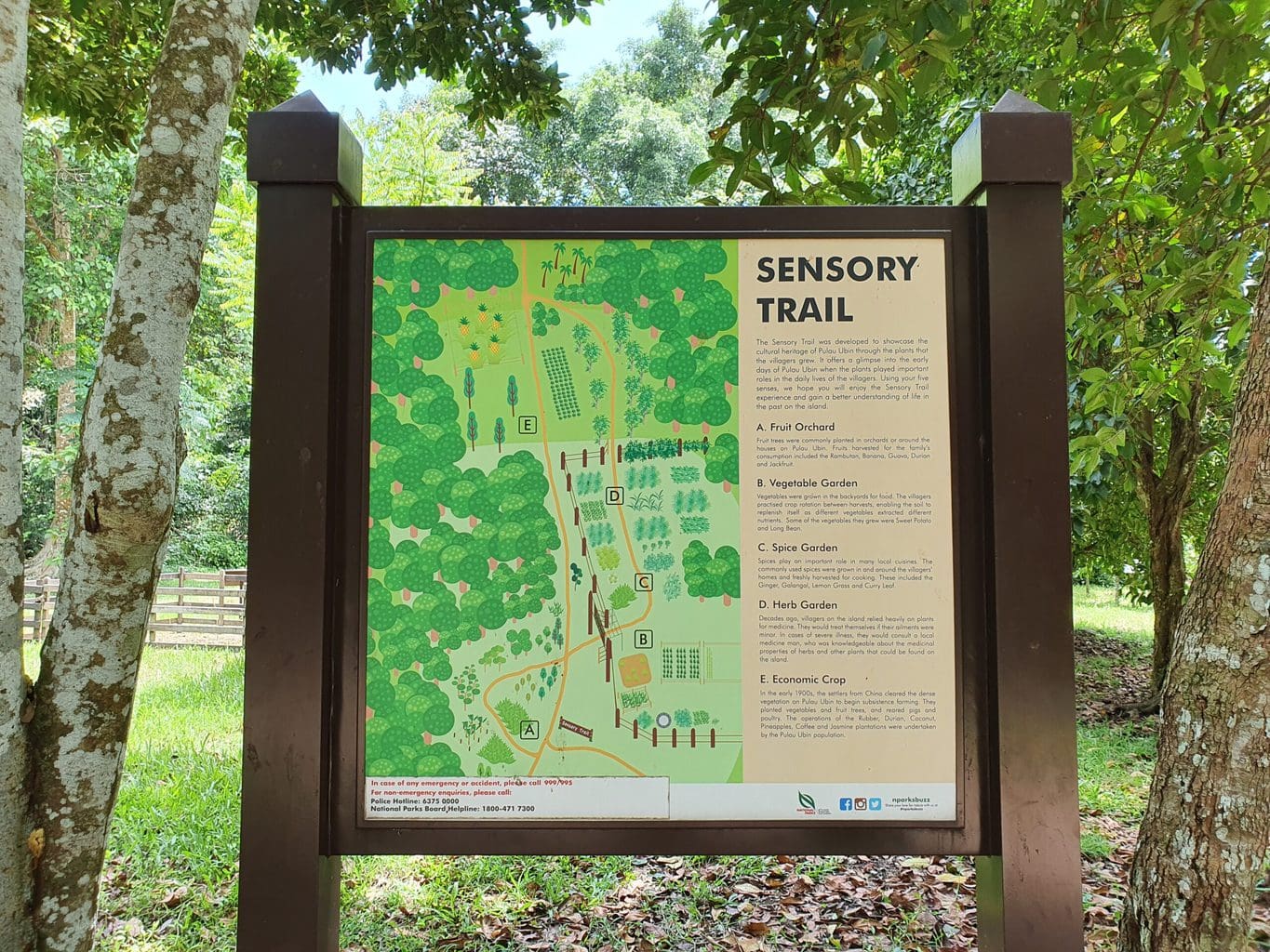 Pulau Ubin Sensory Trail Map