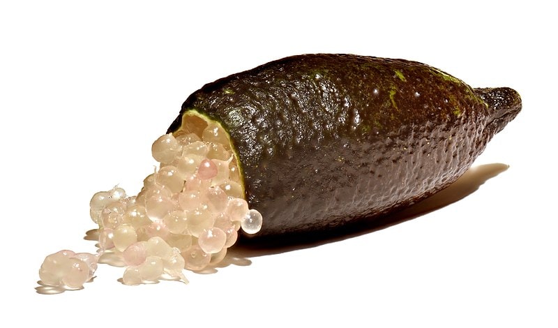 Australian finger lime. Wikipedia Amada44 (CC BY-SA 3.0)