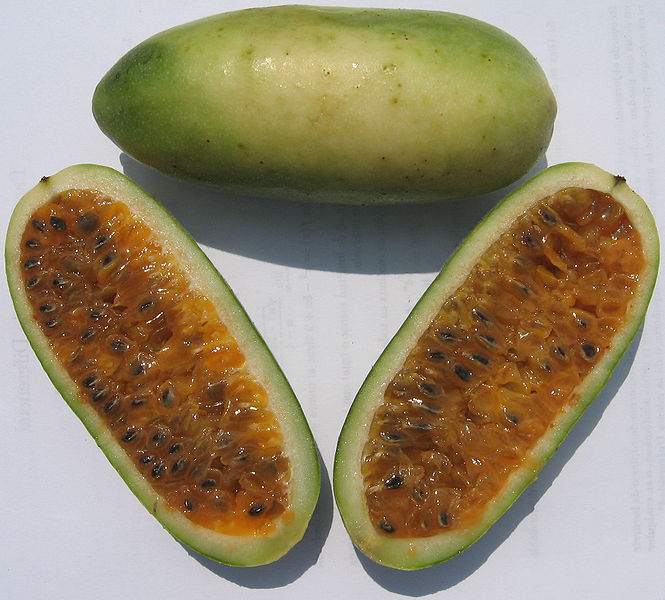 Curuba or Banana Passion Fruit. Wikipedia (CC BY-SA 3.0)