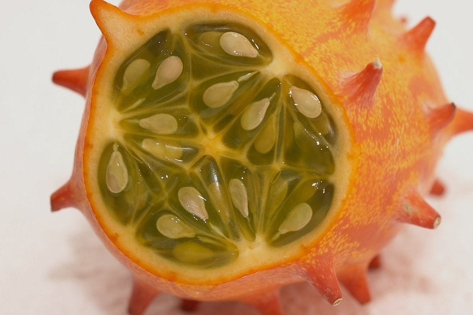 Kiwano (Horned Melon)