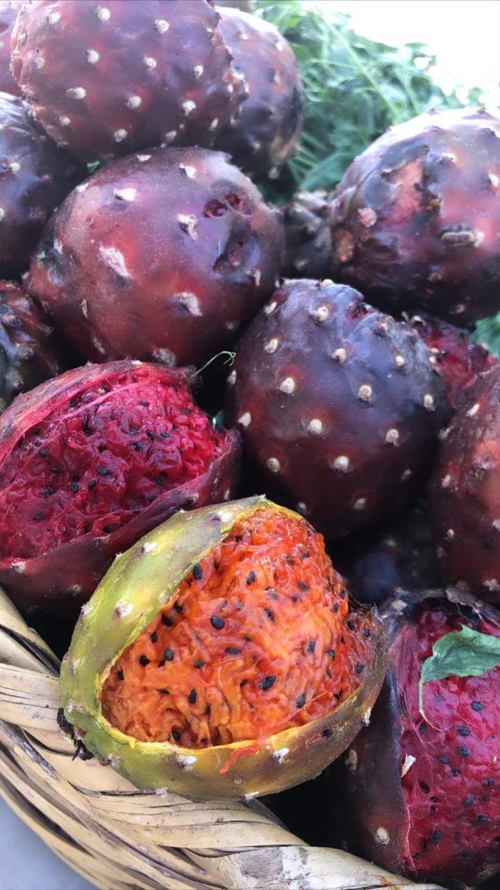 Pitahaya