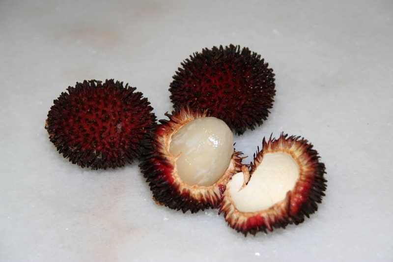 Pulasan