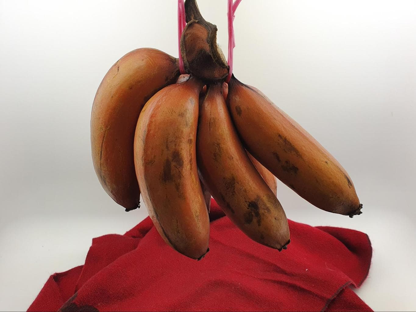 Red banana