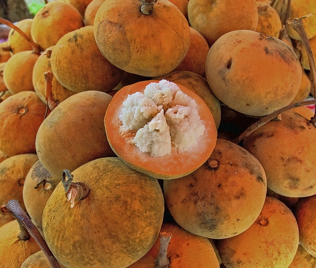 Santol fruit