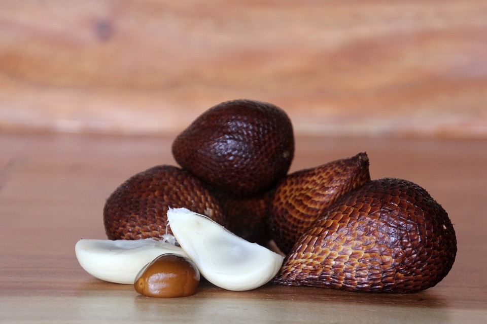 Snake fruit