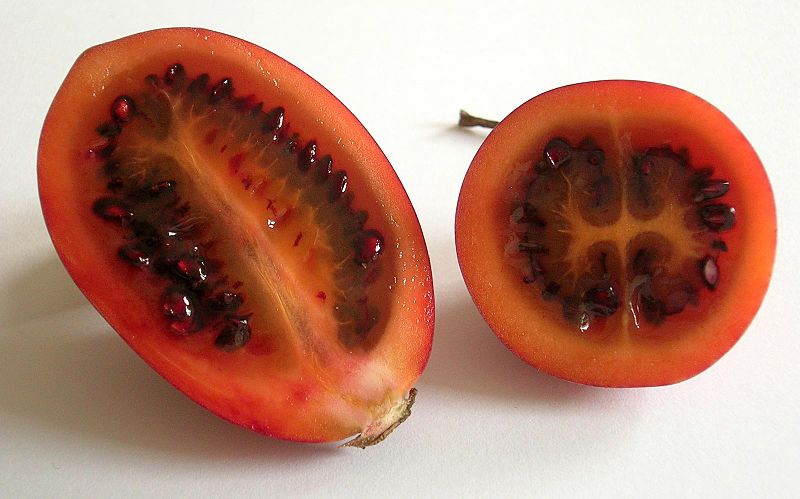 Tamarillo Wikipedia (CC BY-SA 3.0)