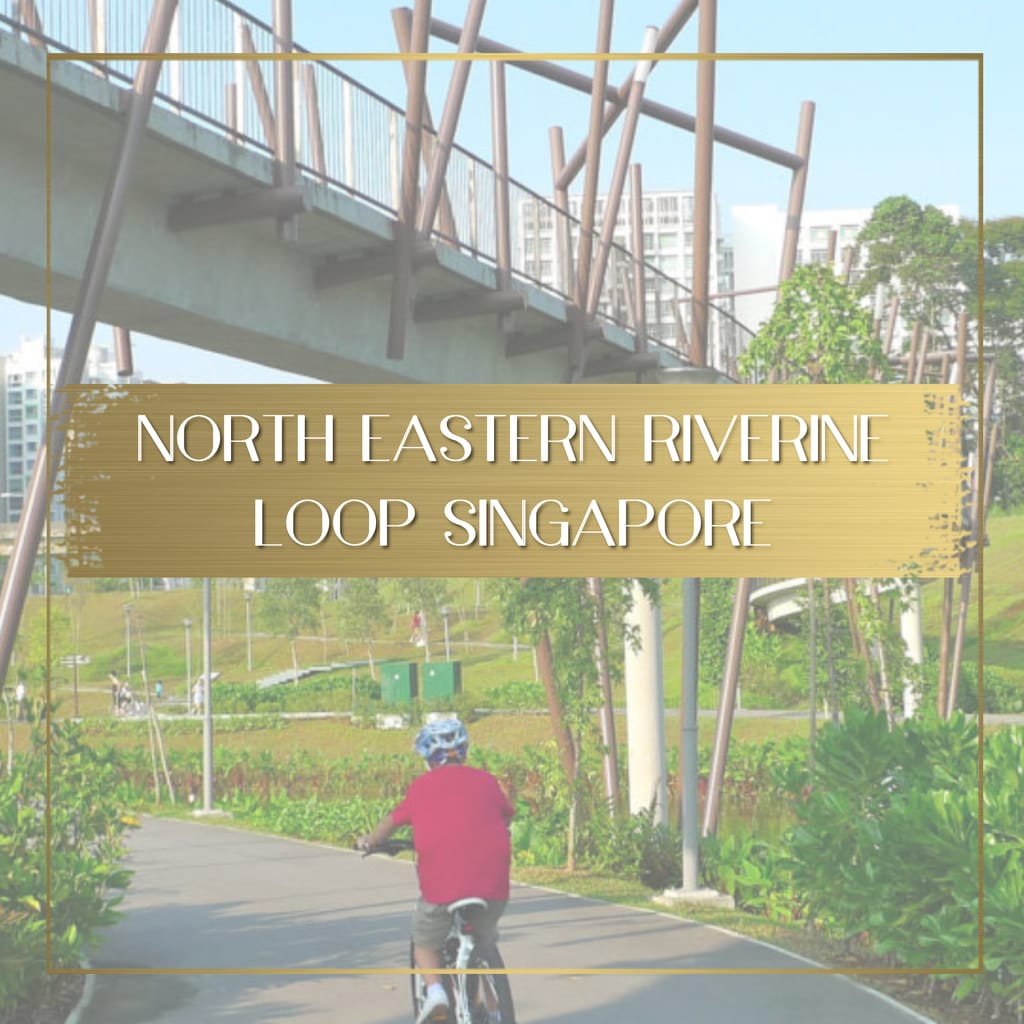 North Eastern Riverine Loop Singapore feature