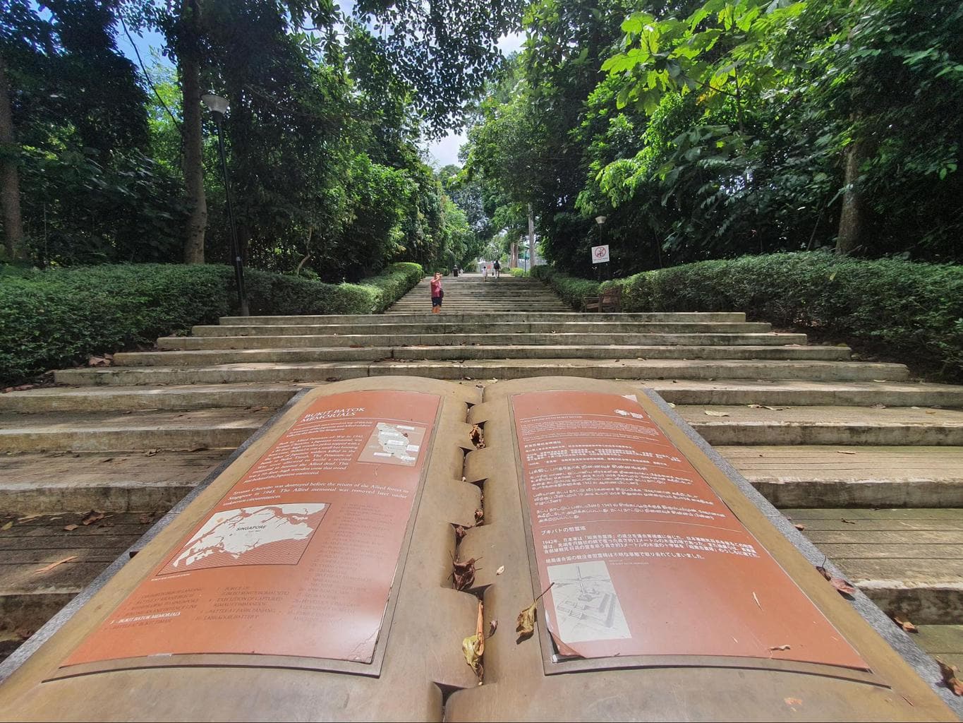 Bukit Batok Nature Park stairs