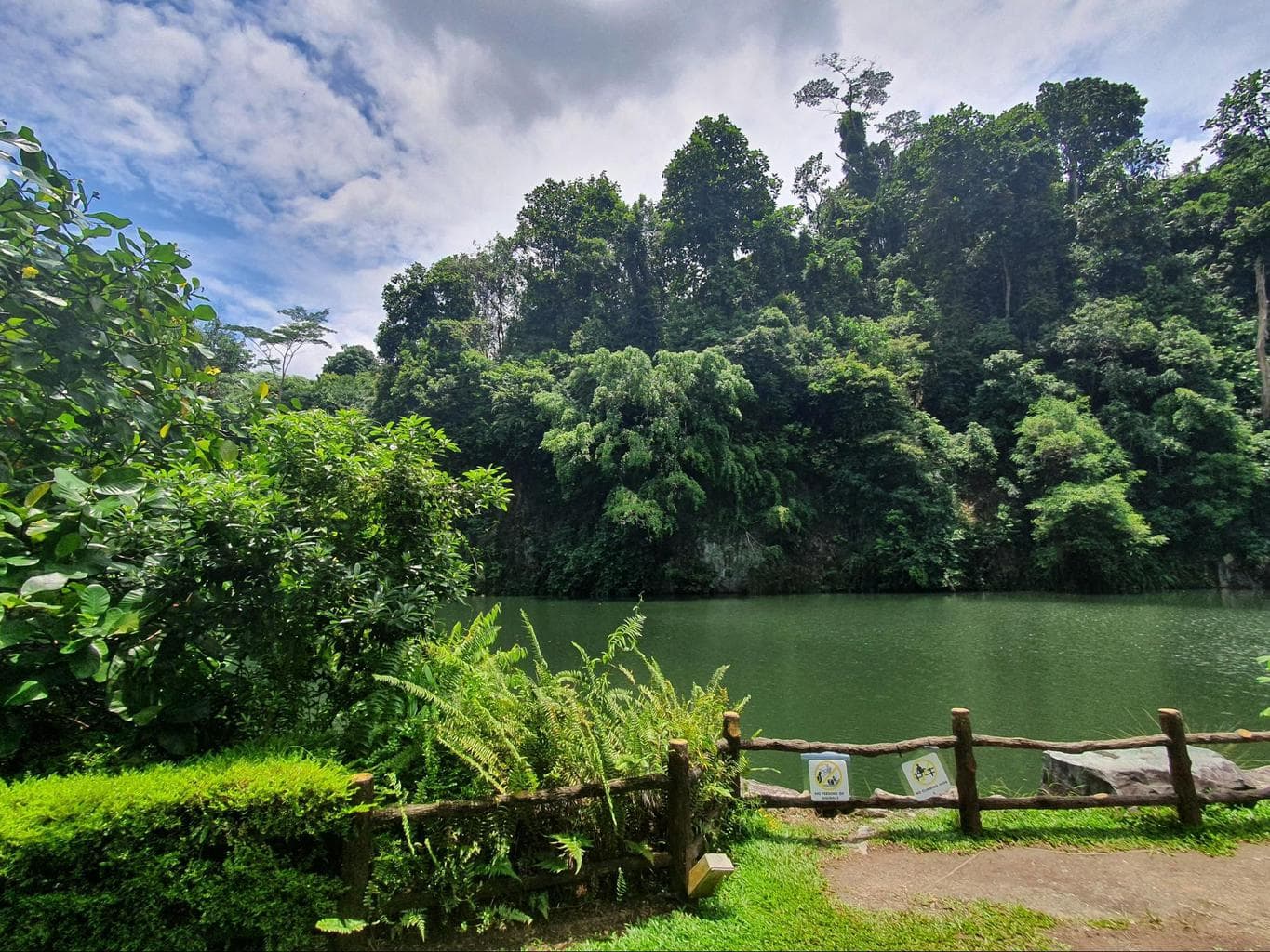 Bukit Batok Nature Park