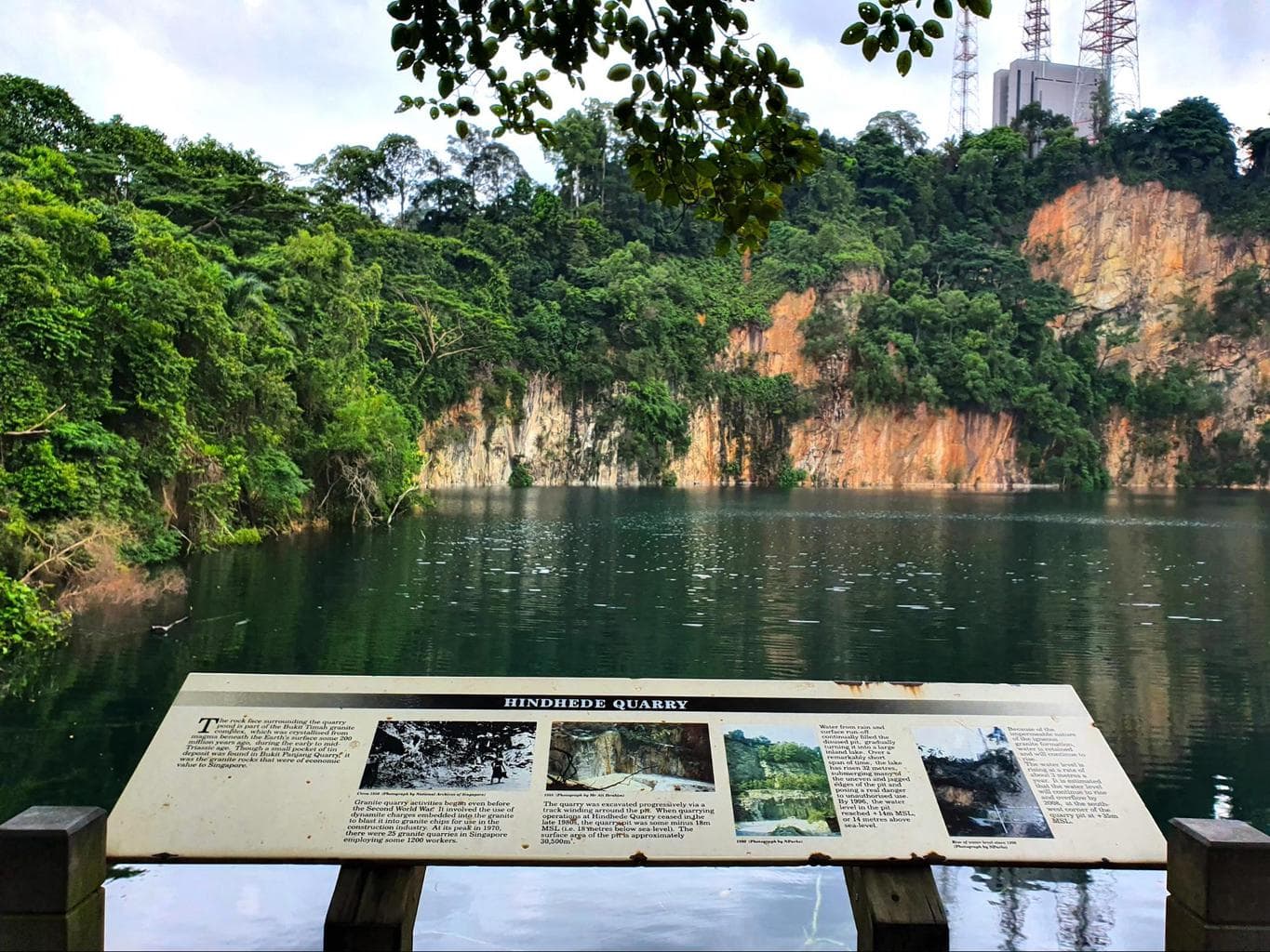 Bukit Timah Nature Reserve