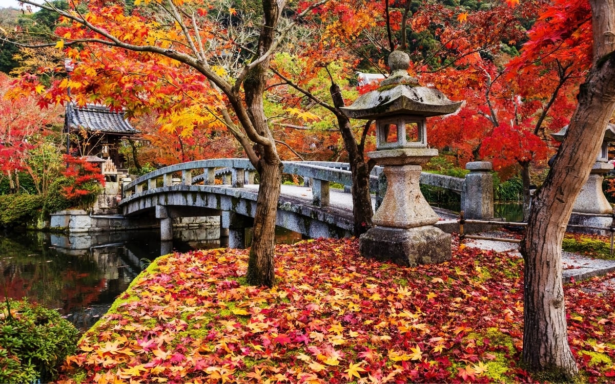 Eikando Temple Autumn Leaves