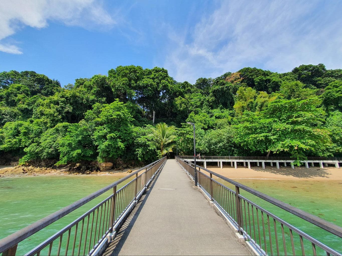 Labrador Nature Reserve bridge