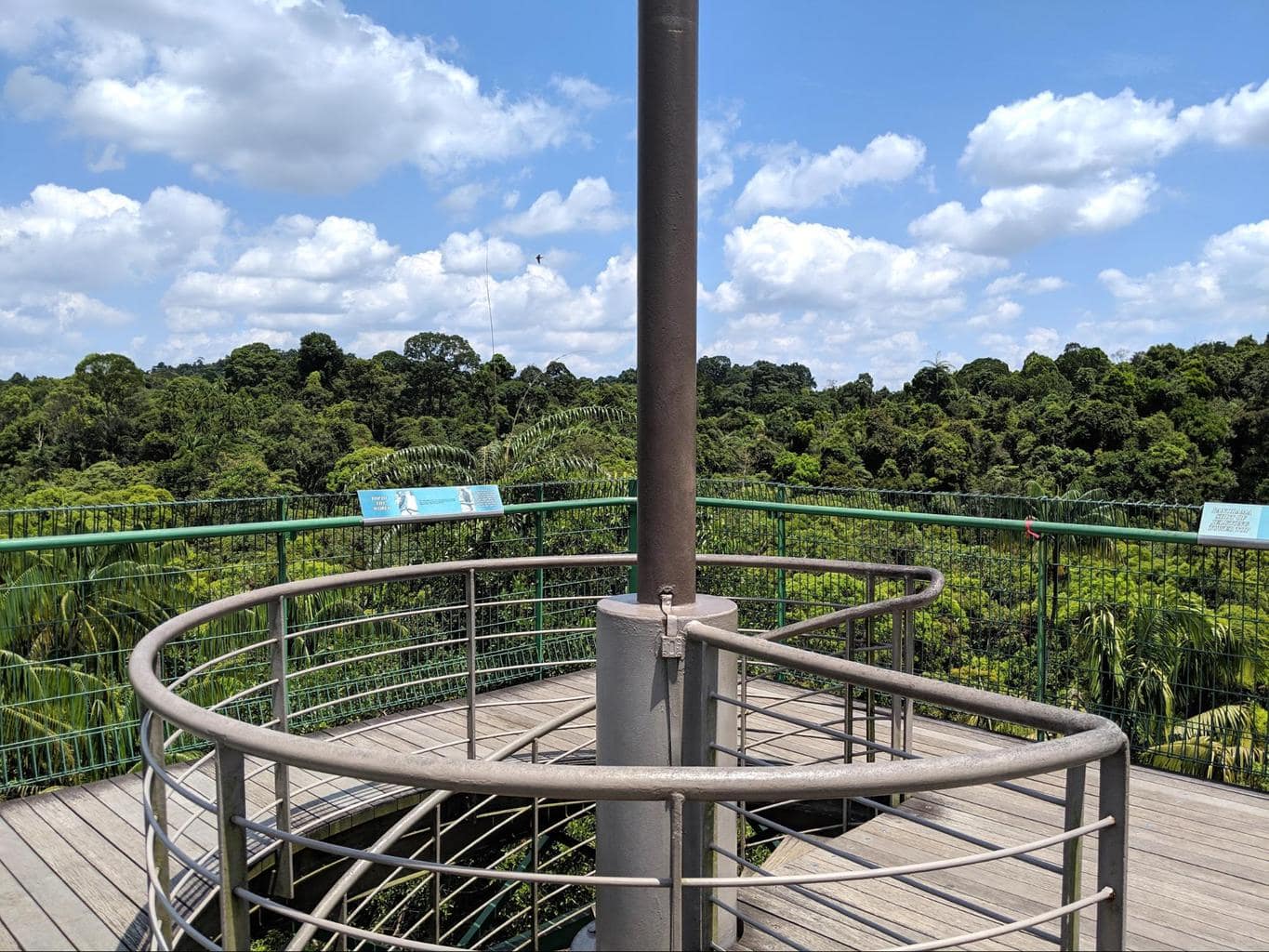 MacRitchie Reservoir view