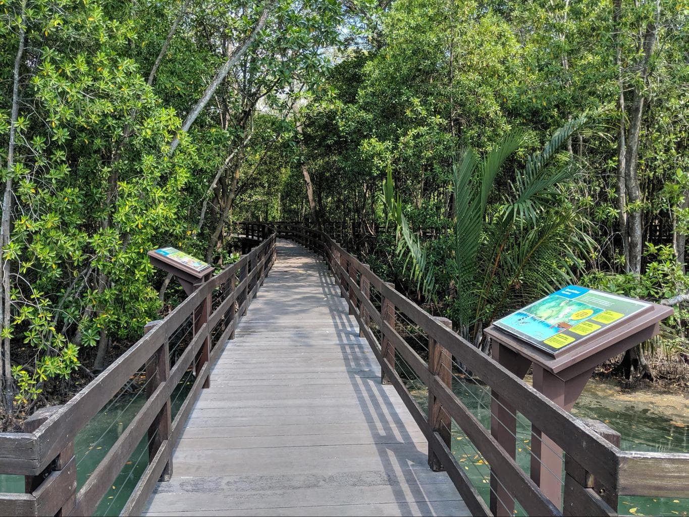 Pasir Ris Park boardwalk