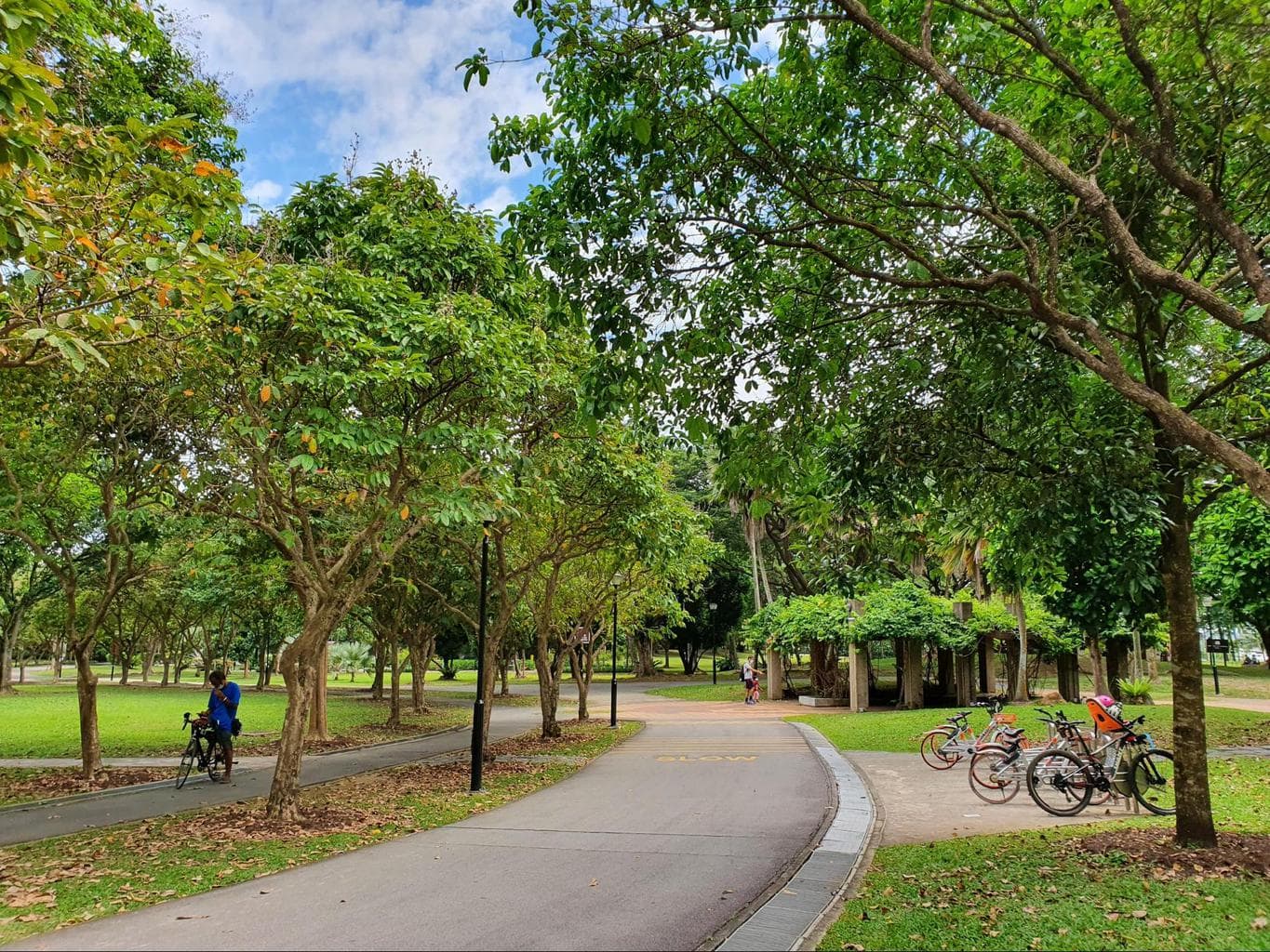 Riding a bike at West Coast Park