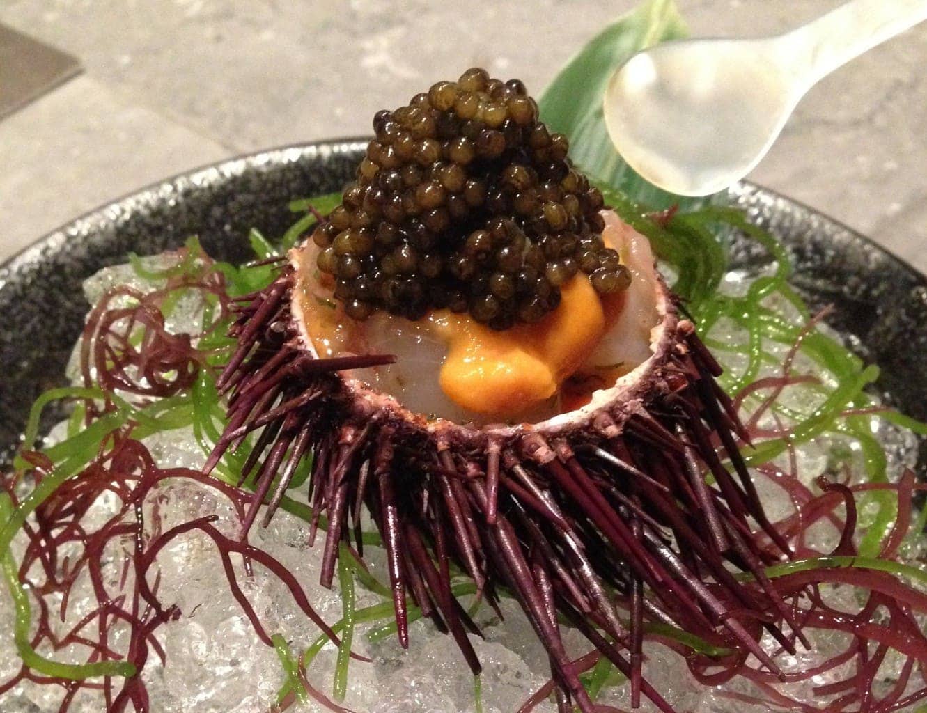 Sea urchin at Waku Ghin