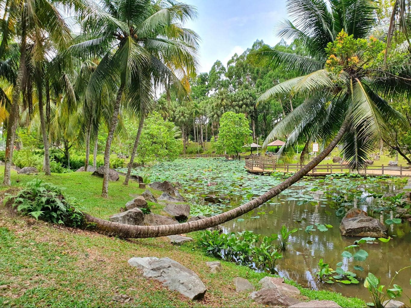 Bishan Ang Mo Kio Park