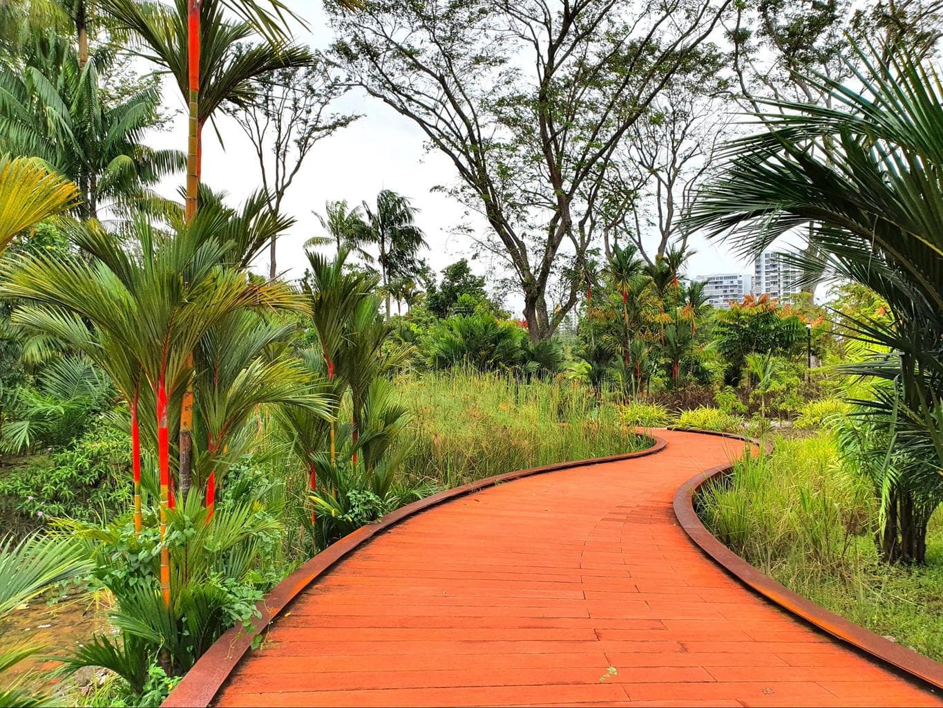 Jurong Lake Gardens