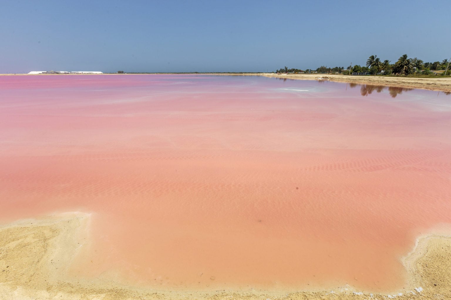 Las coloradas