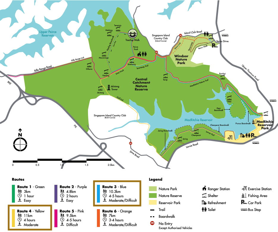 MacRitchie Lornie Trail map