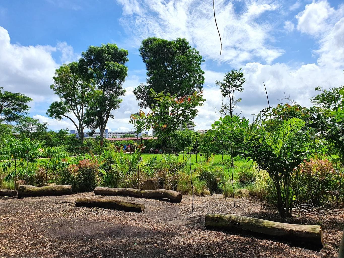 Sembawang Hot Spring Park area for sitting