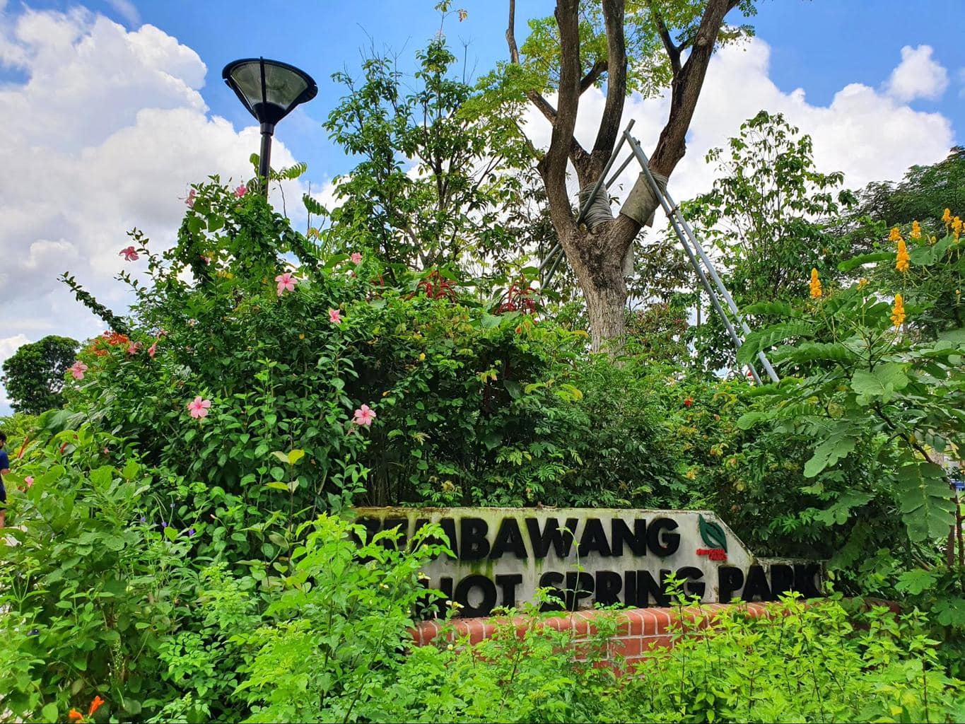 Sembawang Hot Spring Park entrance