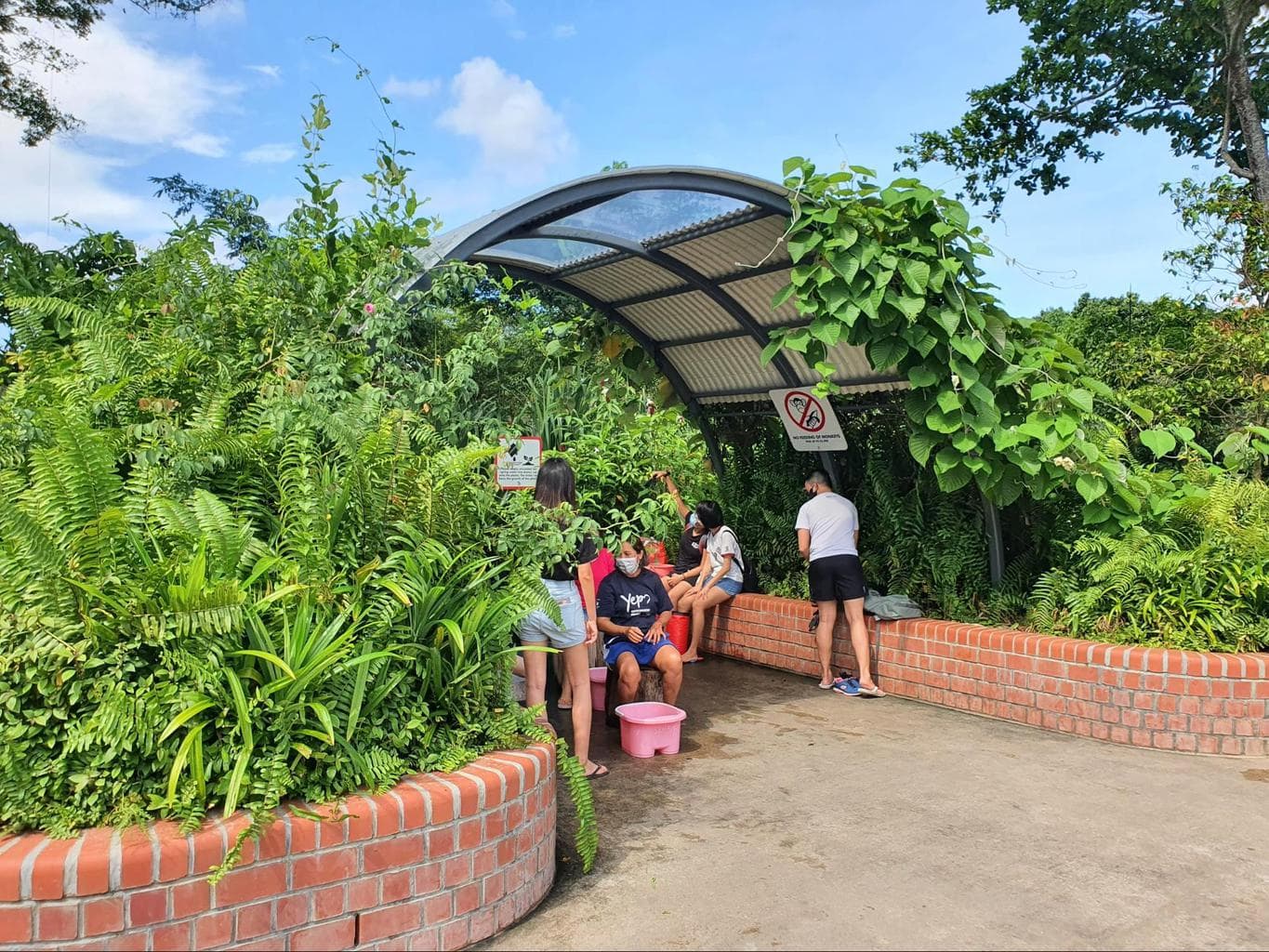 Sembawang Hot Spring Park sitting area