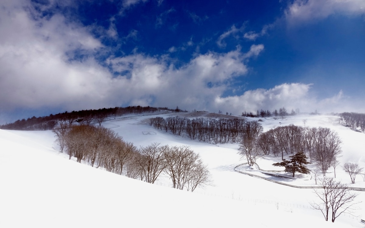 Untouched snow in Daegwallyeong sheep farm