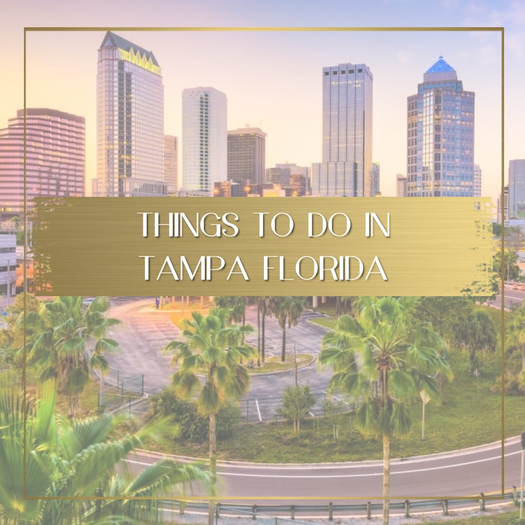 Things to do in Tampa Florida feature