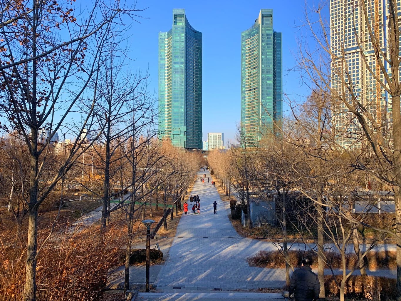 Seoul Forest in winter