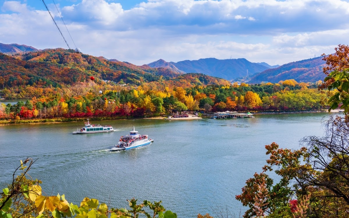 Gorgeous autumn leaves in Nami Island