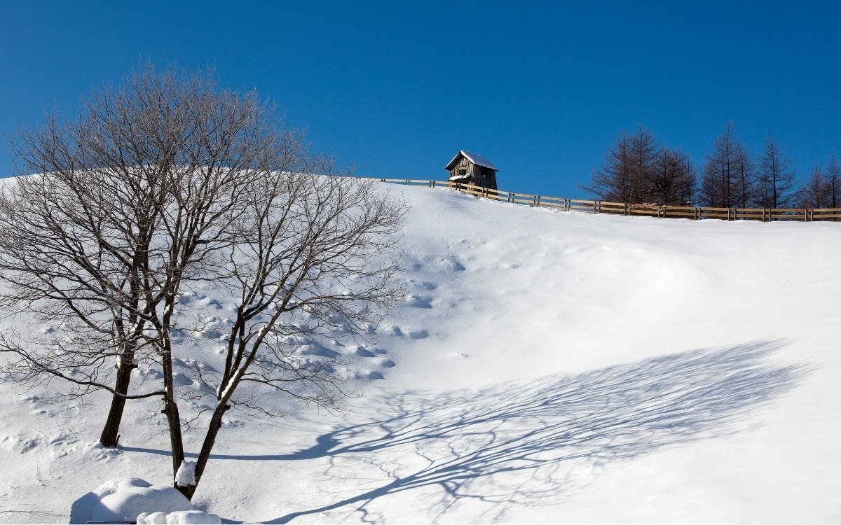 Daegwallyeong Sheep Ranch