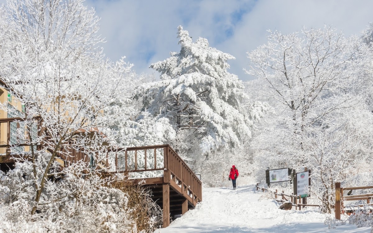 What to pack for winter in Korea